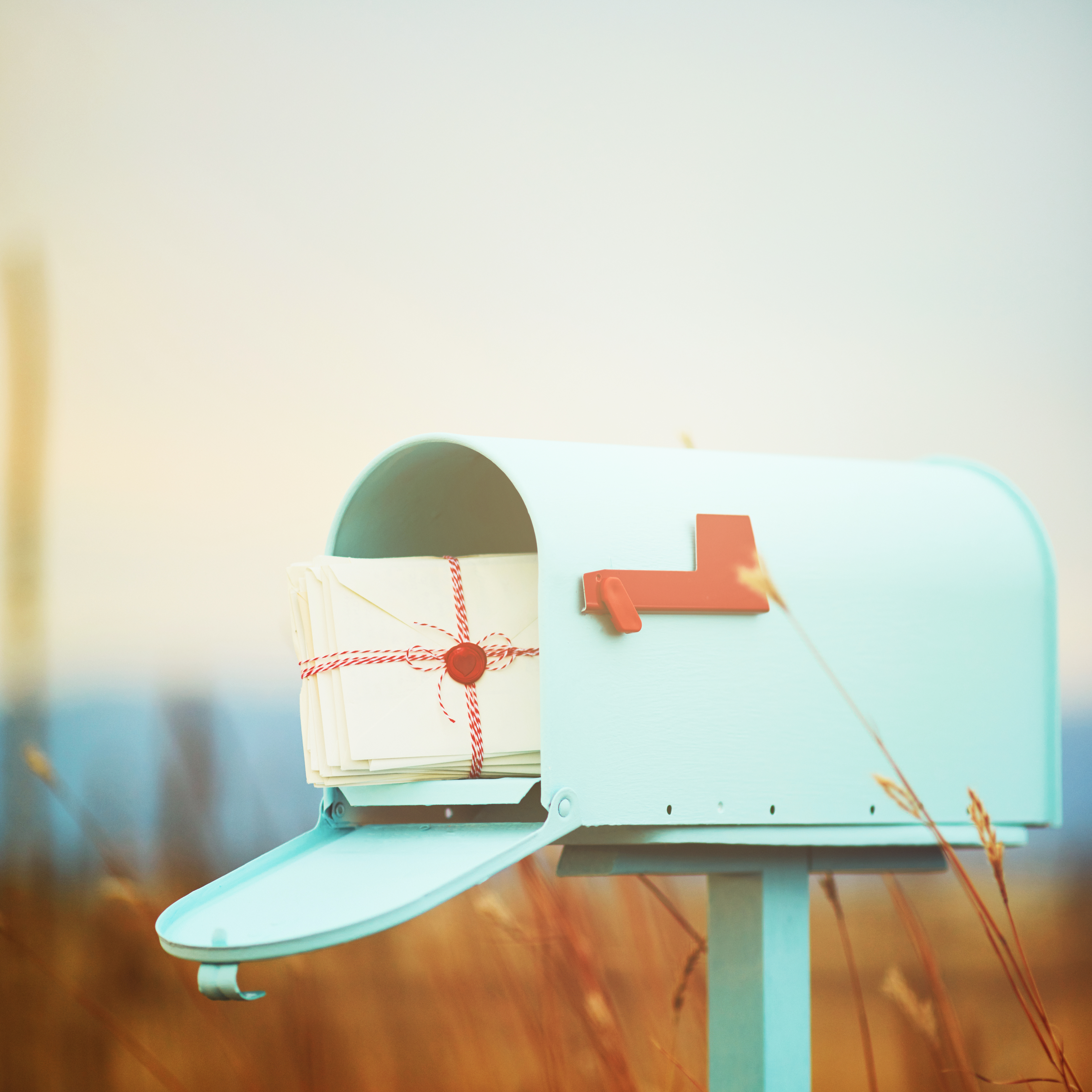 iStock-1035213248.jpg