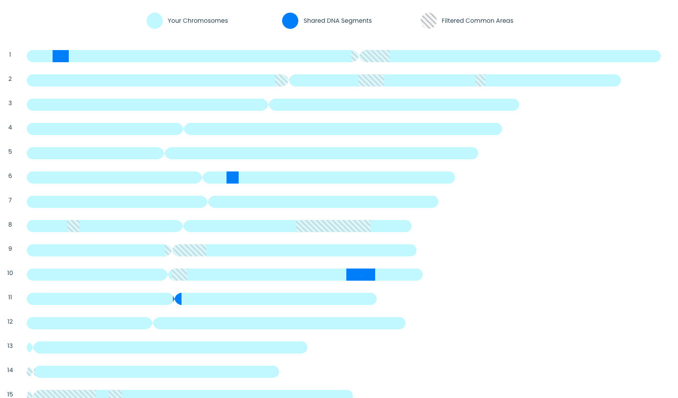Screenshot 2025-06-19 at 11.44.33.png
