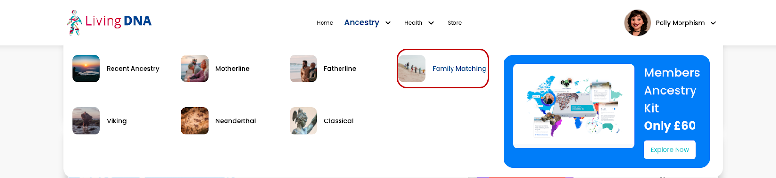 Matchbox and Multiview Browser – Support Center | Living DNA