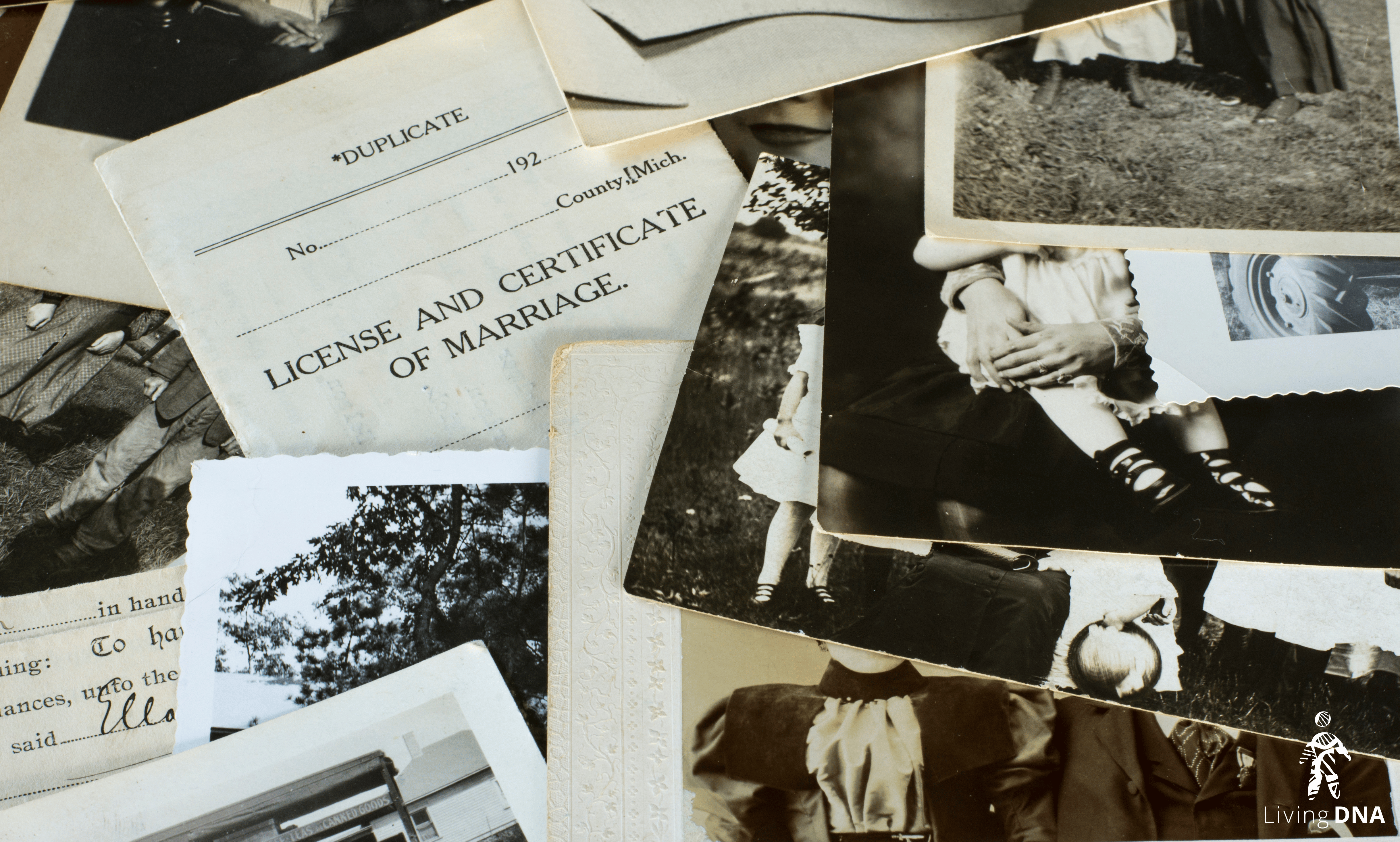 Paper Trail photos.png