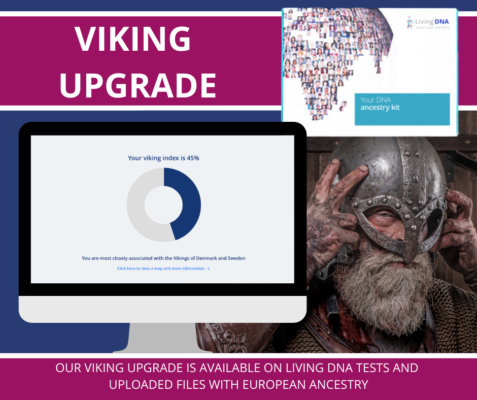 Viking DNA Report, Viking Ancestry